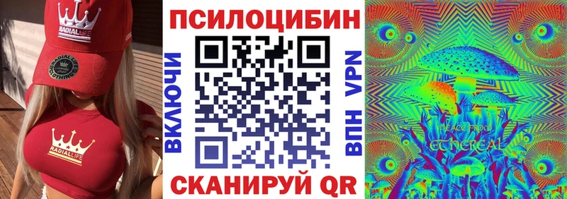 магазин  наркотиков  Чекалин  Псилоцибиновые грибы ЛСД 