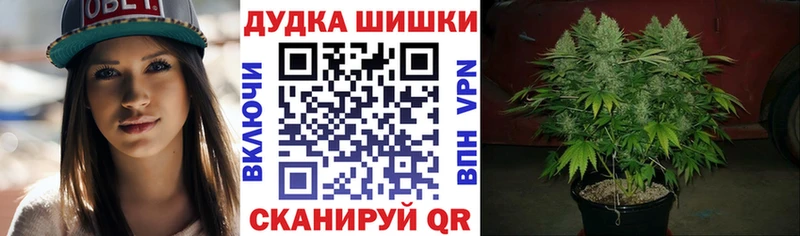 Бошки Шишки White Widow  Чекалин 